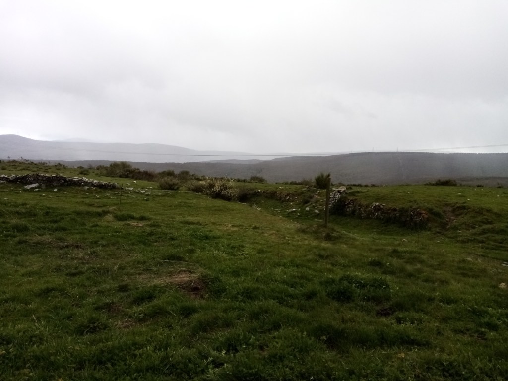 28.4. Liikaa Foncebaniin too much to&nbsp;Fonceban